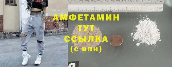 сатива Аркадак