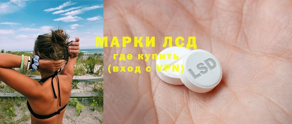 PSILOCYBIN Алзамай