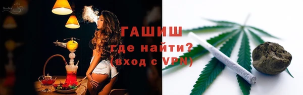сатива Аркадак