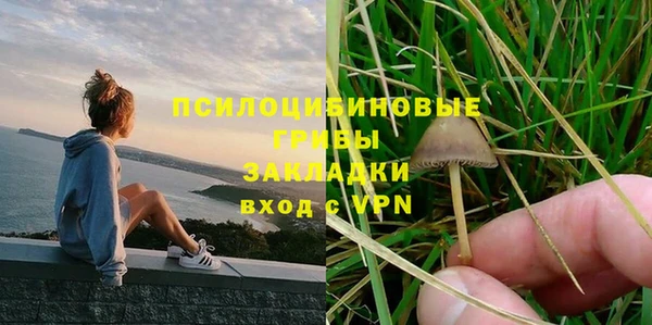 гашик Алексин