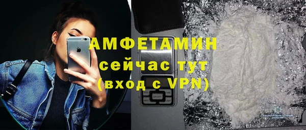сатива Аркадак
