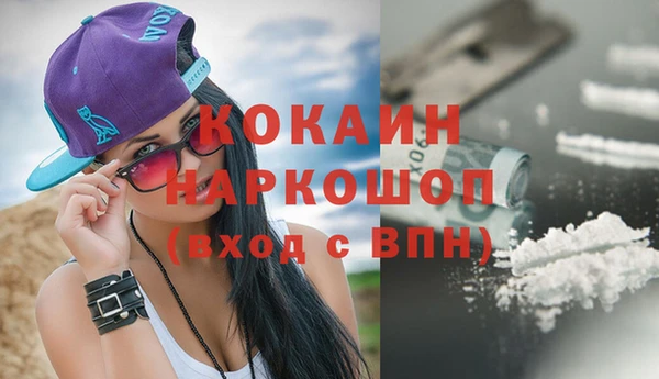 сатива Аркадак