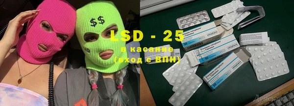 PSILOCYBIN Алзамай